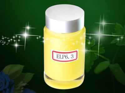 ELP6.3
